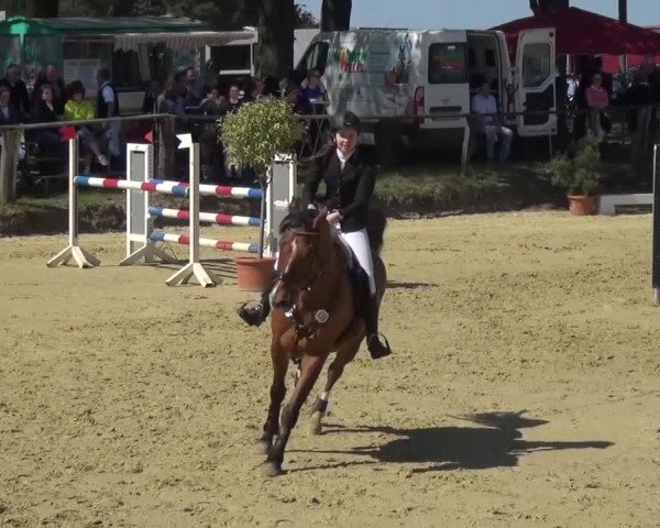 Reitturnier Kaarst - Reitanlage Bierewitz 2016