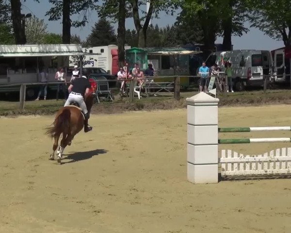 Reitturnier Kaarst - Reitanlage Bierewitz 2016