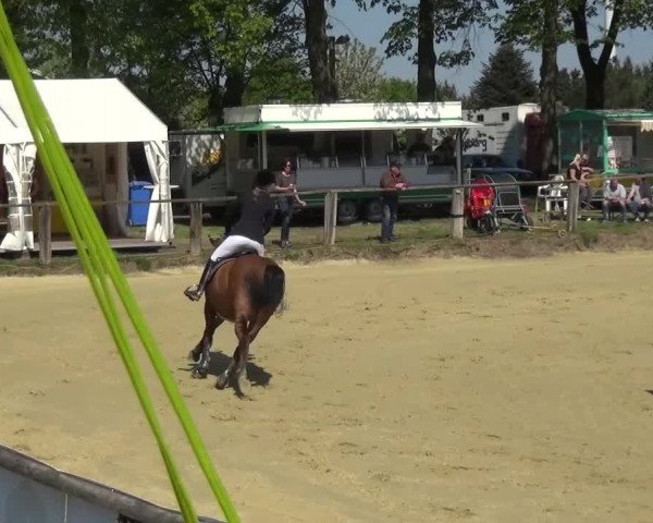 Reitturnier Kaarst - Reitanlage Bierewitz 2016