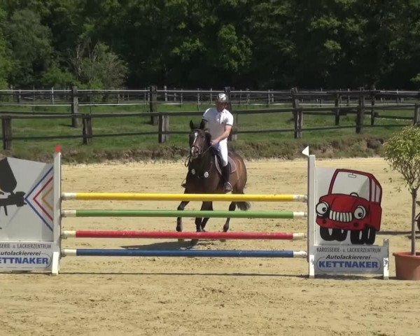 Reitturnier Kaarst - Reitanlage Bierewitz 2016