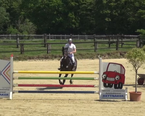 Reitturnier Kaarst - Reitanlage Bierewitz 2016