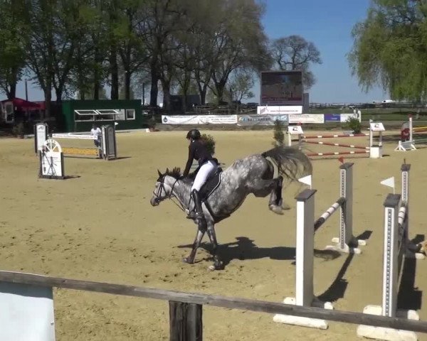 Reitturnier Kaarst - Reitanlage Bierewitz 2016