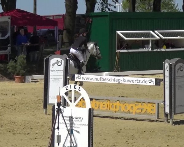 Reitturnier Kaarst - Reitanlage Bierewitz 2016