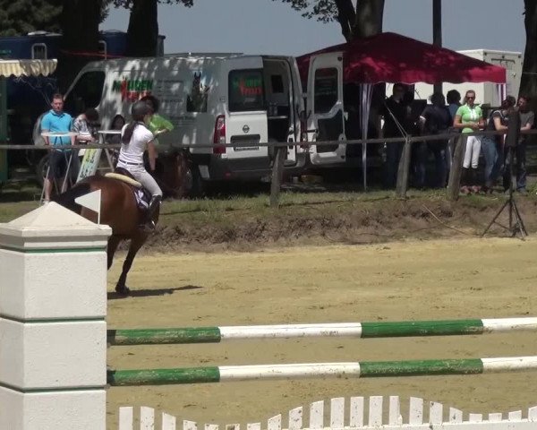 Reitturnier Kaarst - Reitanlage Bierewitz 2016