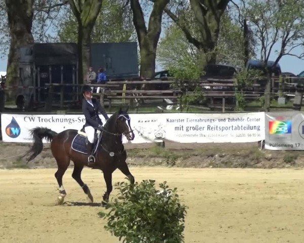 Reitturnier Kaarst - Reitanlage Bierewitz 2016