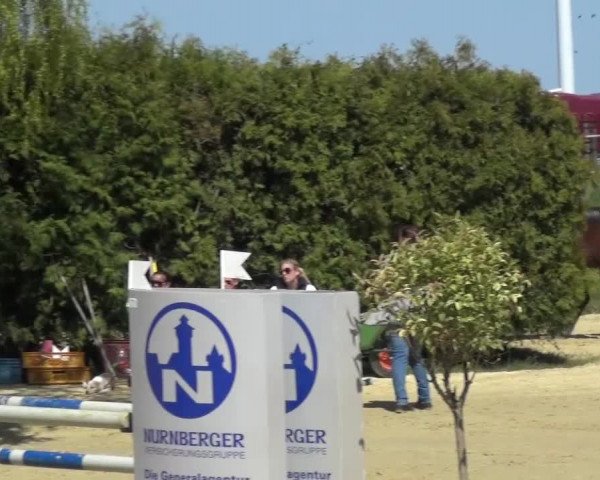 Reitturnier Kaarst - Reitanlage Bierewitz 2016
