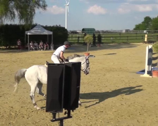 Reitturnier Kaarst - Reitanlage Bierewitz 2016