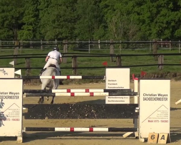 Reitturnier Kaarst - Reitanlage Bierewitz 2016