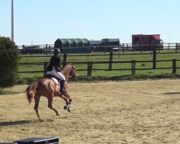 Reitturnier Kaarst - Reitanlage Bierewitz 2016
