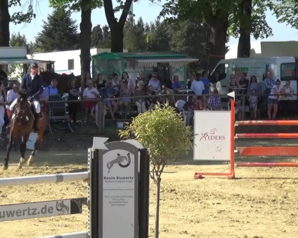 Reitturnier Kaarst - Reitanlage Bierewitz 2016