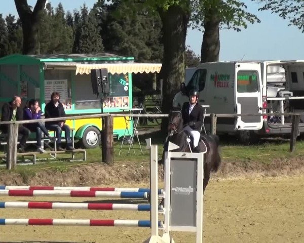 Reitturnier Kaarst - Reitanlage Bierewitz 2016