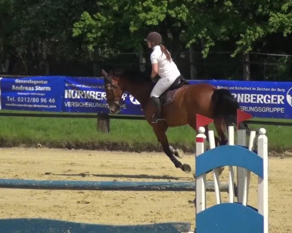 Reitturnier Kaarst - Reitanlage Bierewitz 2016