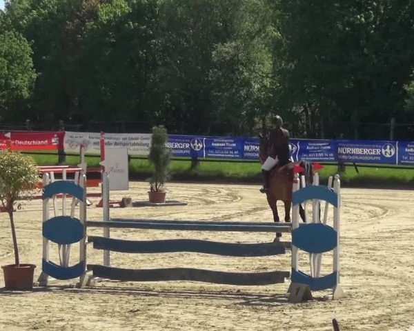 Reitturnier Kaarst - Reitanlage Bierewitz 2016