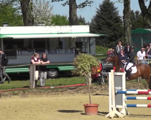 Reitturnier Kaarst - Reitanlage Bierewitz 2016