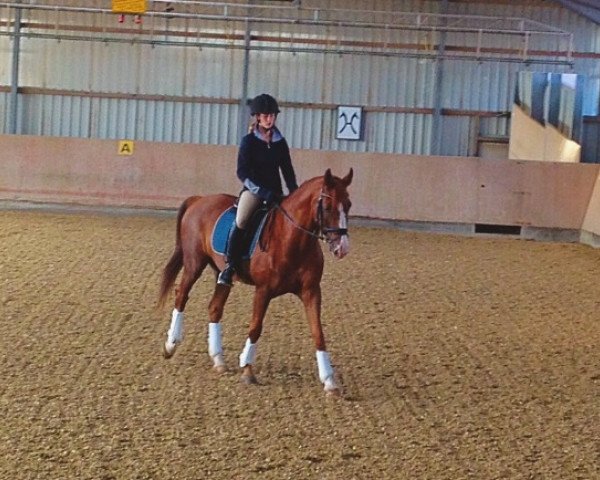 horse Renoir 138 (Rhinelander, 2000, from Rilke)