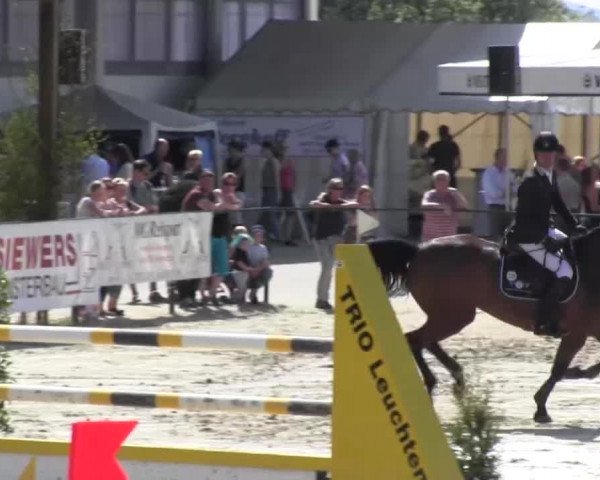 Reitturnier Hellefeld 2016