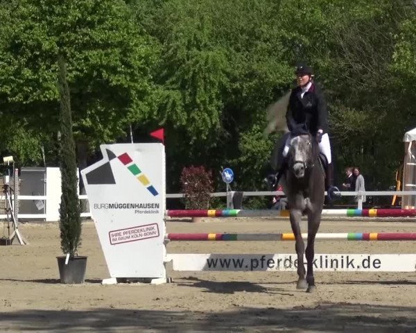 Reitturnier Köln-Seeberg 2016