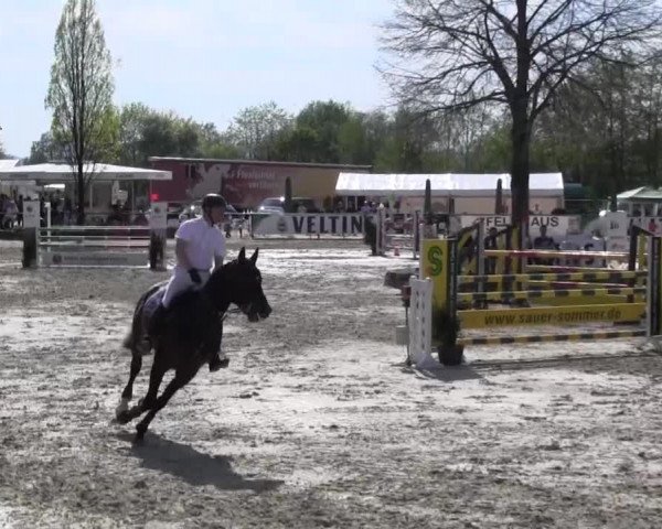 Reitturnier Hellefeld 2016