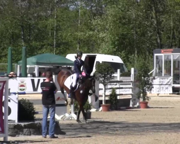 Reitturnier Hellefeld 2016