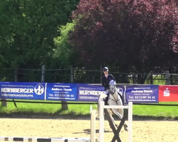 Reitturnier Kaarst - Reitanlage Bierewitz 2016