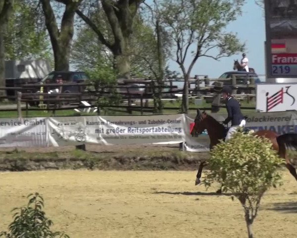Reitturnier Kaarst - Reitanlage Bierewitz 2016