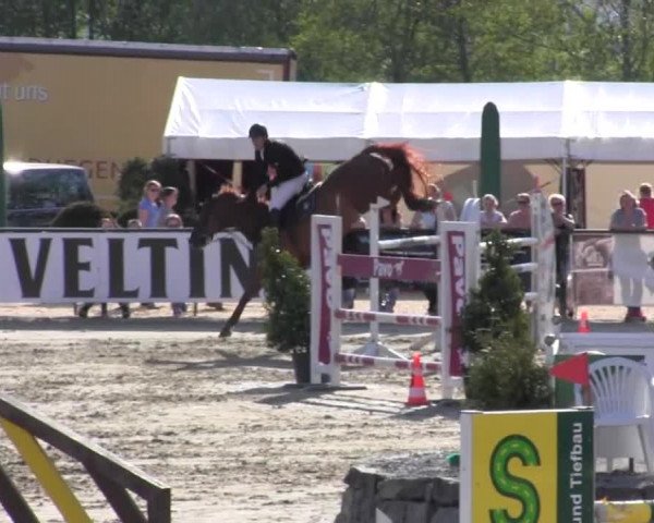 Reitturnier Hellefeld 2016