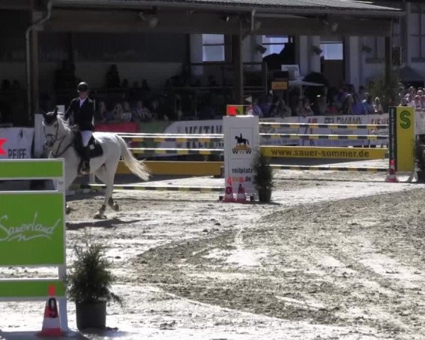 Reitturnier Hellefeld 2016