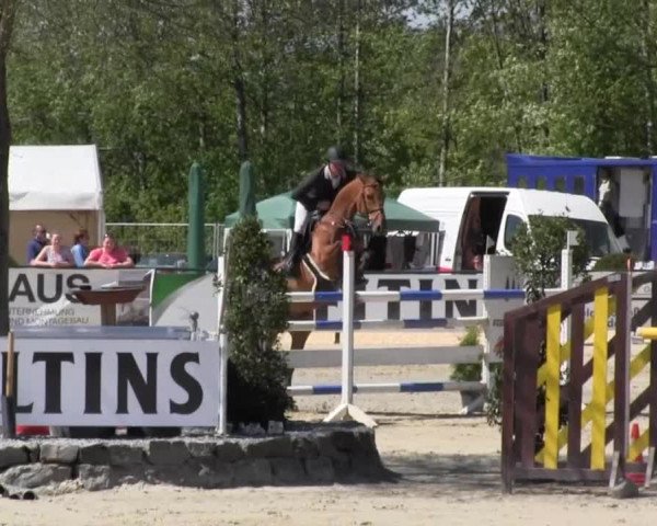 Reitturnier Hellefeld 2016