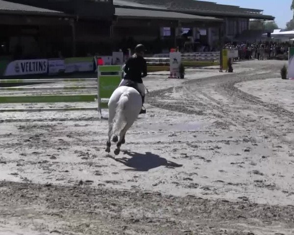 Reitturnier Hellefeld 2016
