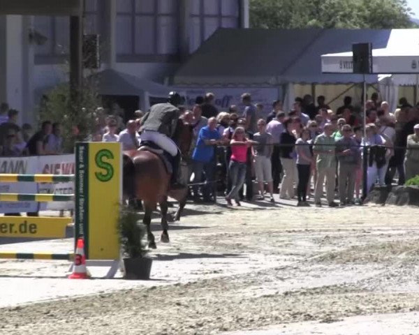 Reitturnier Hellefeld 2016