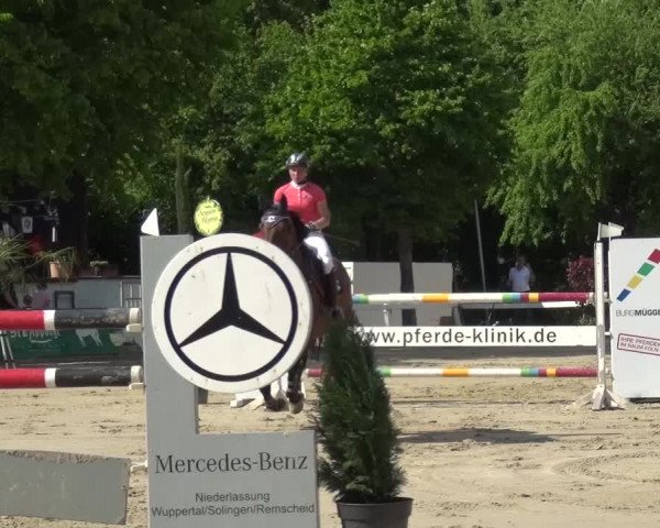 Reitturnier Köln-Seeberg 2016