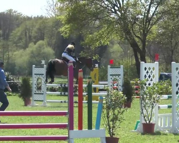 Reitturnier Lienen 2016