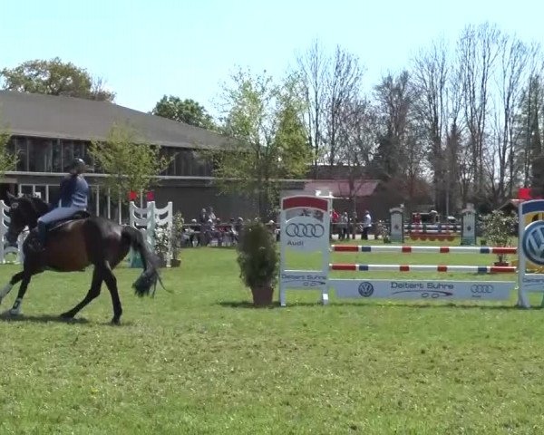 Reitturnier Lienen 2016