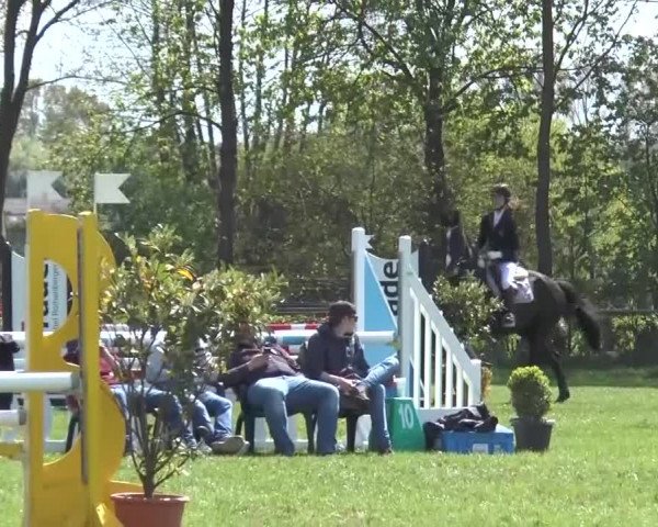Reitturnier Lienen 2016