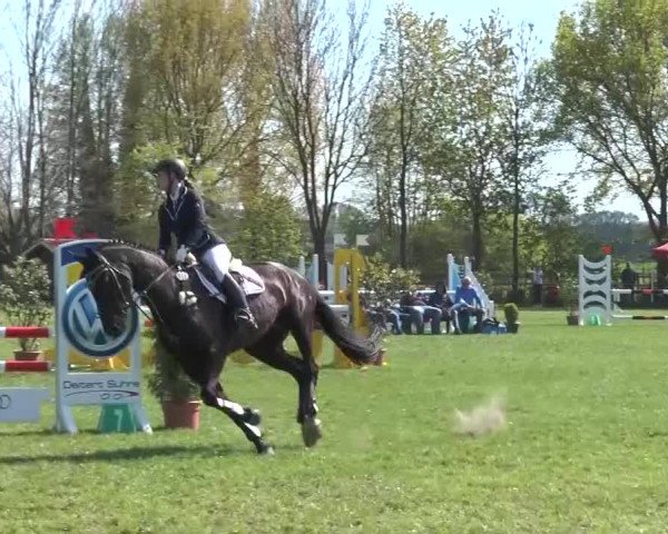 Reitturnier Lienen 2016