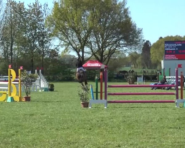 Reitturnier Lienen 2016
