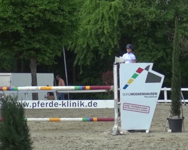 Reitturnier Köln-Seeberg 2016