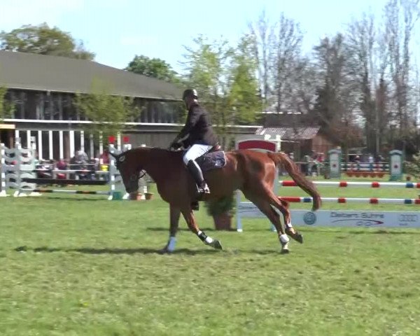 Reitturnier Lienen 2016