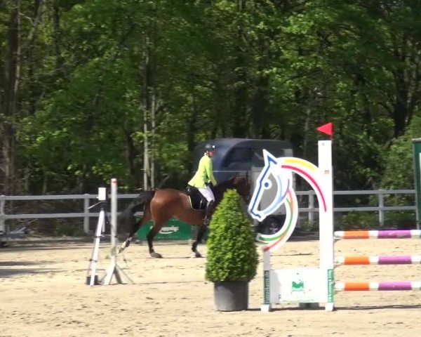 Reitturnier Köln-Seeberg 2016