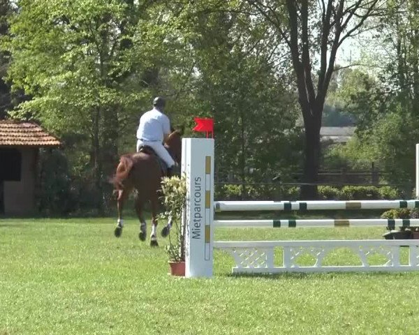 Reitturnier Lienen 2016