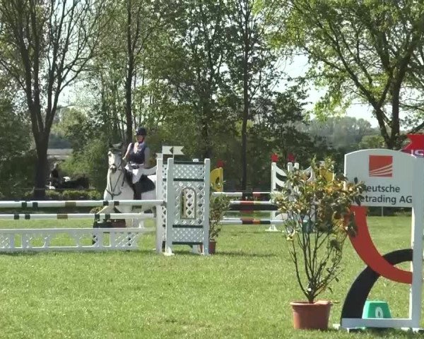 Reitturnier Lienen 2016