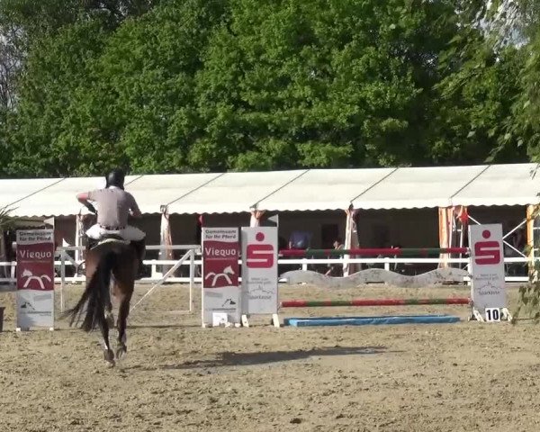 Reitturnier Köln-Seeberg 2016