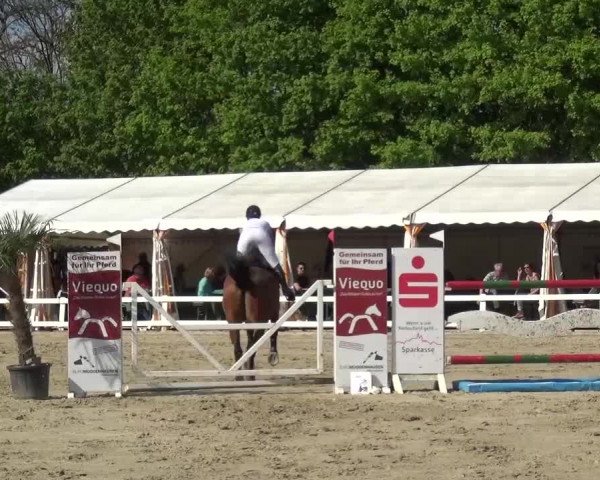 Reitturnier Köln-Seeberg 2016