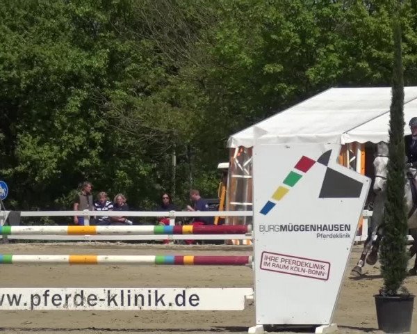Reitturnier Köln-Seeberg 2016