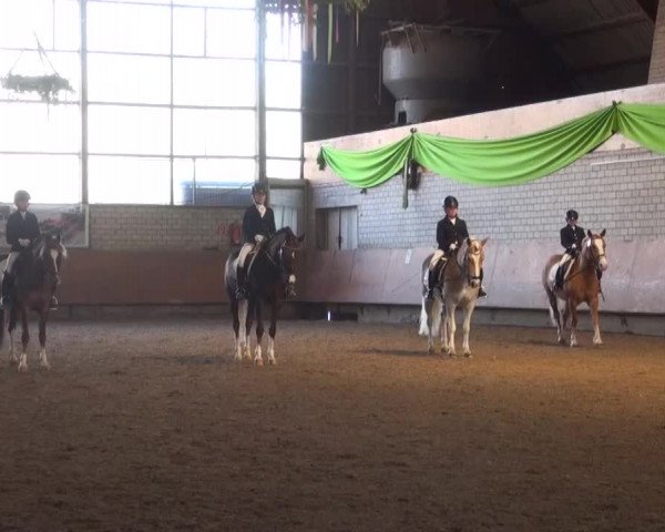 Reitturnier Hellefeld 2016