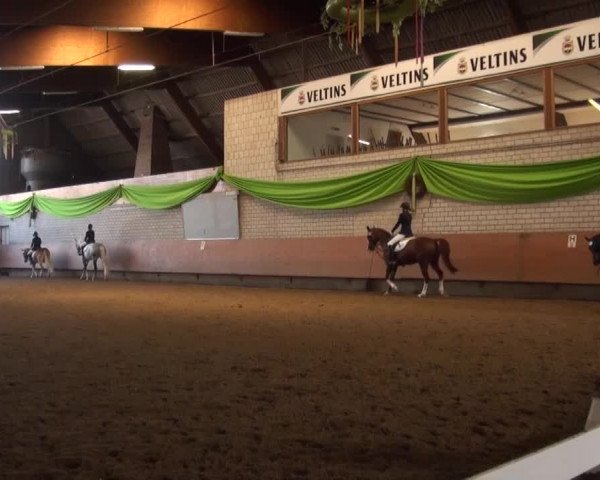 Reitturnier Hellefeld 2016