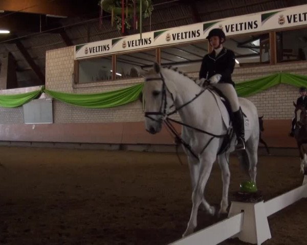 Reitturnier Hellefeld 2016