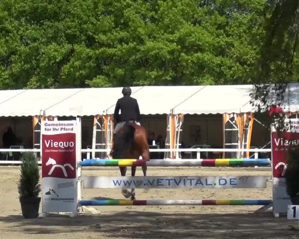 Reitturnier Köln-Seeberg 2016