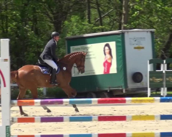 Reitturnier Köln-Seeberg 2016