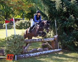 jumper Catarino (Lusitano, 2007, from Importante)